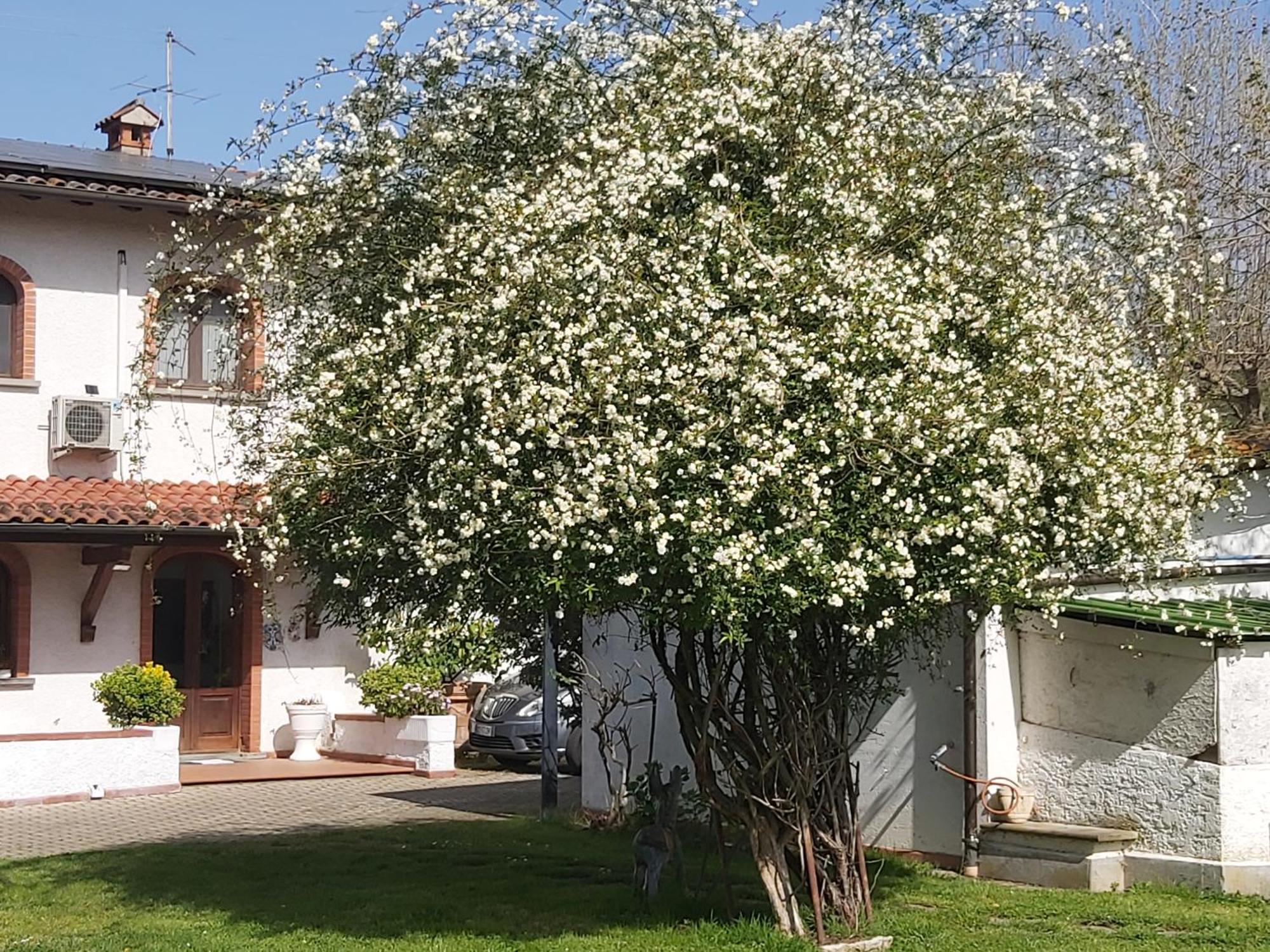 Villa Fioccomare Camaiore Extérieur photo