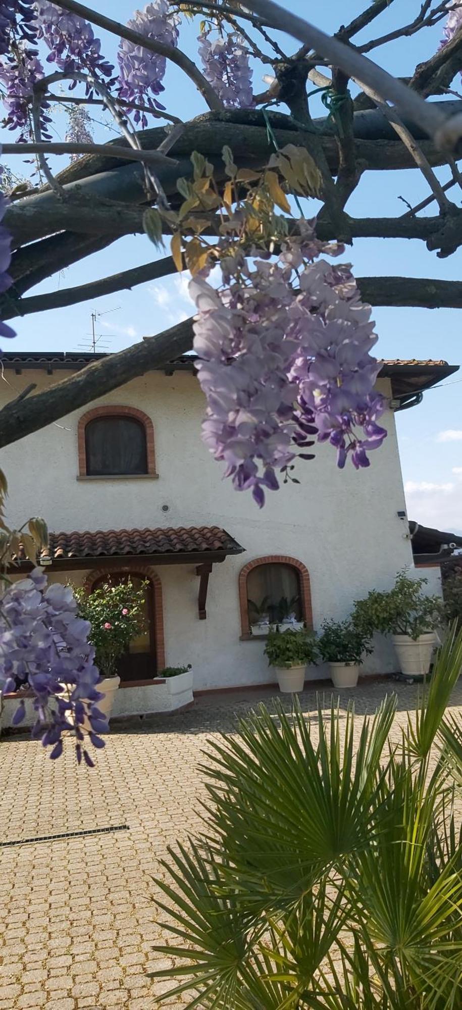 Villa Fioccomare Camaiore Extérieur photo