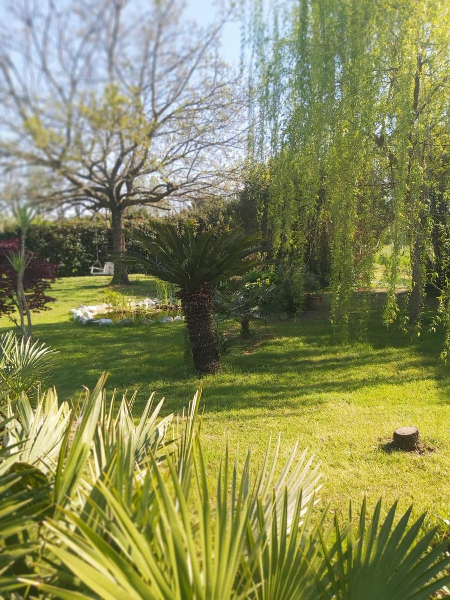 Villa Fioccomare Camaiore Extérieur photo